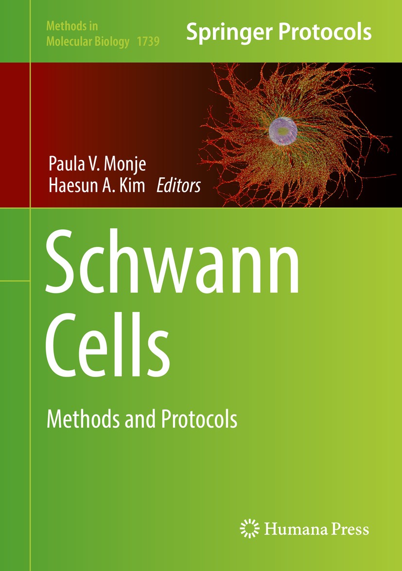 Titlebook: Schwann Cells; Methods and Protocol Paula V. Monje,Haesun A. Kim Book 2018 Springer Science+Business Media, LLC 2018 Cell culture.Genetic m Titlebook: Schwann Cells; Methods and Protocol Paula V. Monje,Haesun A. Kim Book 2018 Springer Science+Business Media, LLC 2018 Cell culture.Genetic m