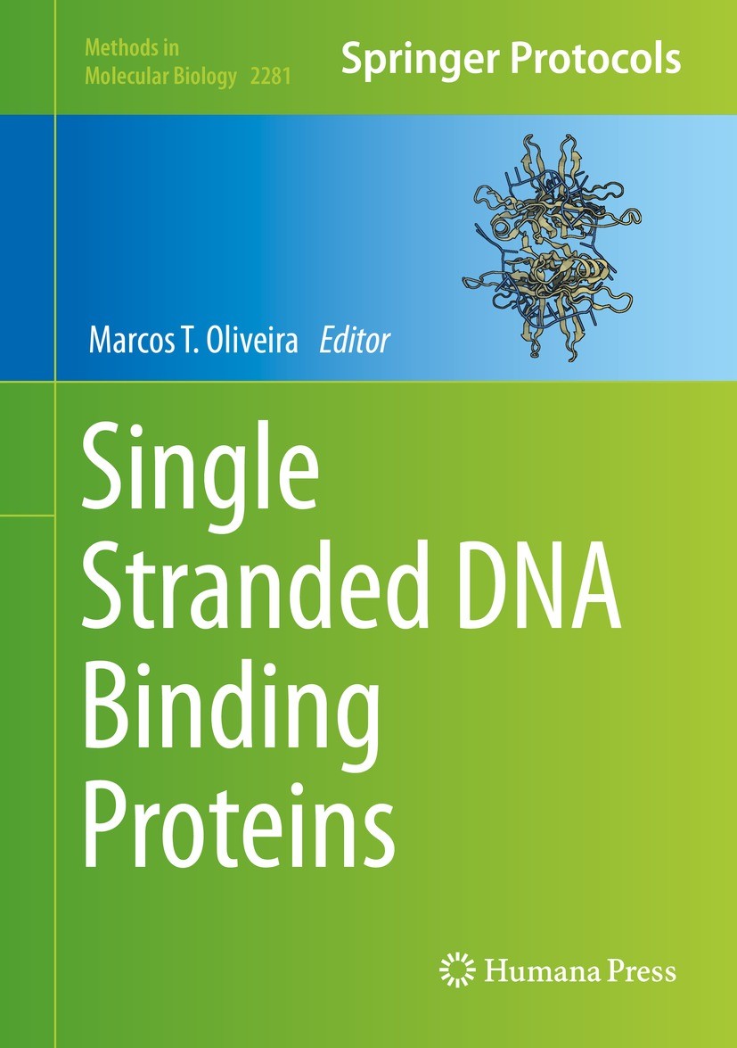 Titlebook: Single Stranded DNA Binding Proteins; Marcos T. Oliveira Book 2021 Springer Science+Business Media, LLC, part of Springer Nature 2021 ssDN Titlebook: Single Stranded DNA Binding Proteins; Marcos T. Oliveira Book 2021 Springer Science+Business Media, LLC, part of Springer Nature 2021 ssDN