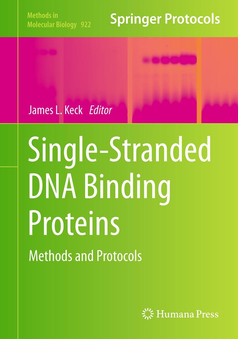 Titlebook: Single-Stranded DNA Binding Proteins; Methods and Protocol James L. Keck Book 2012 Springer Science+Business Media, LLC 2012 DNA-binding pr Titlebook: Single-Stranded DNA Binding Proteins; Methods and Protocol James L. Keck Book 2012 Springer Science+Business Media, LLC 2012 DNA-binding pr