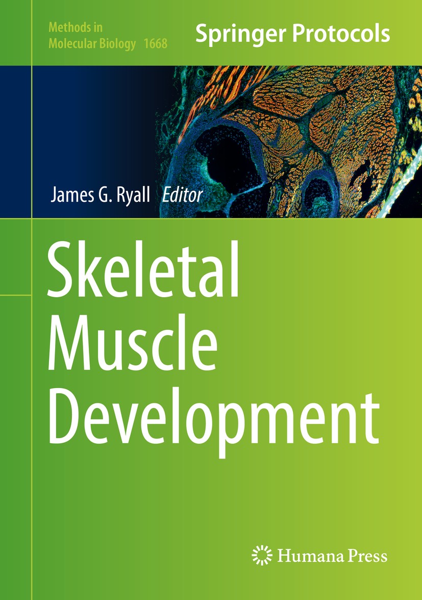 Titlebook: Skeletal Muscle Development; James G. Ryall Book 2017 Springer Science+Business Media LLC 2017 Cell proliferation.Myogenic differentiation Titlebook: Skeletal Muscle Development; James G. Ryall Book 2017 Springer Science+Business Media LLC 2017 Cell proliferation.Myogenic differentiation