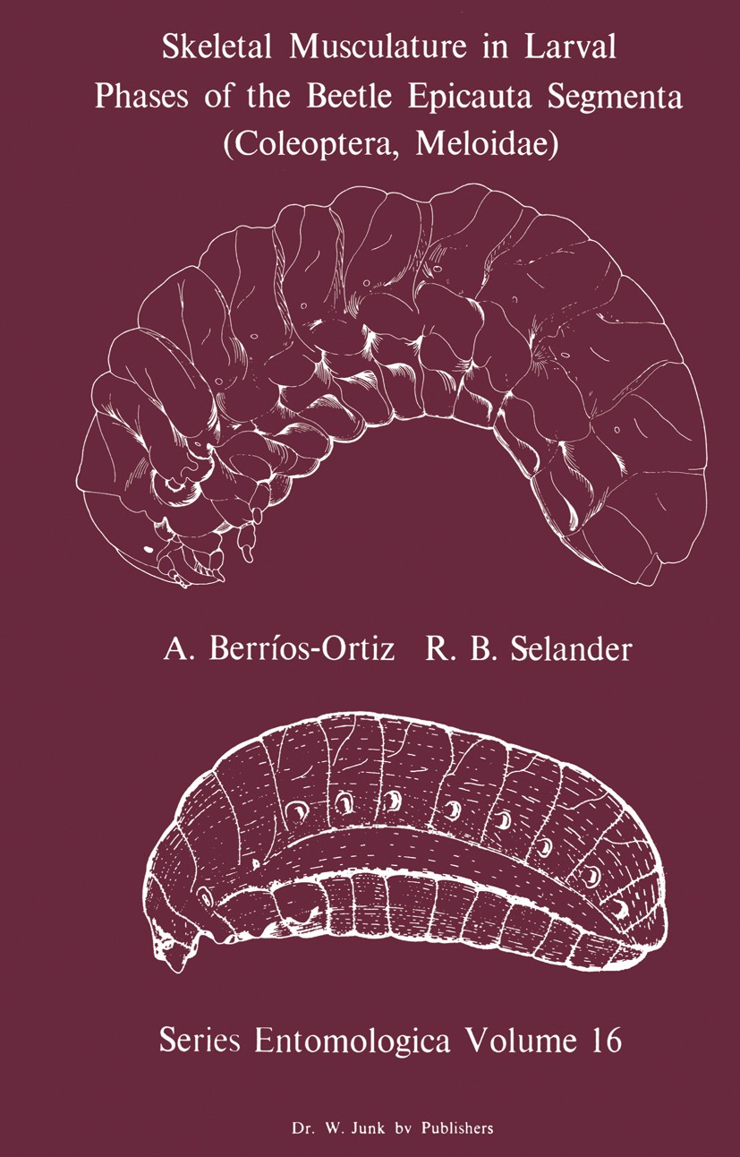 Titlebook: Skeletal Musculature in Larval Phases of the Beetle Epicauta Segmenta (Coleoptera, Meloidae); Angel Berríos-Ortiz,Richard B. Selander Book Titlebook: Skeletal Musculature in Larval Phases of the Beetle Epicauta Segmenta (Coleoptera, Meloidae); Angel Berríos-Ortiz,Richard B. Selander Book