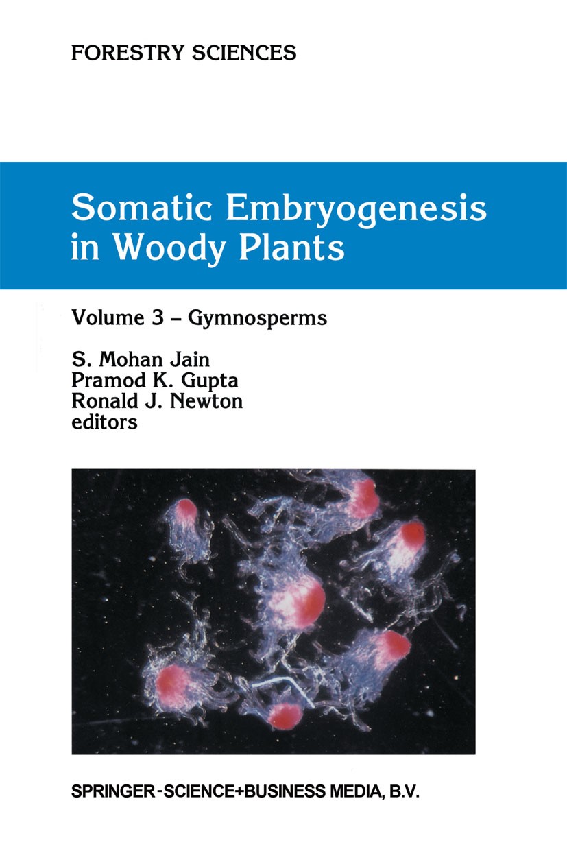 Titlebook: Somatic Embryogenesis in Woody Plants; Volume 3: Gymnosperm S. Mohan Jain,Pramod K. Gupta,Ronald J. Newton Book 1995 Springer Science+Busin Titlebook: Somatic Embryogenesis in Woody Plants; Volume 3: Gymnosperm S. Mohan Jain,Pramod K. Gupta,Ronald J. Newton Book 1995 Springer Science+Busin