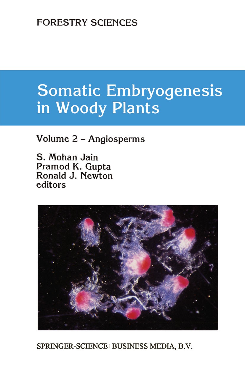 Titlebook: Somatic Embryogenesis in Woody Plants; Volume 2 — Angiosper S. Mohan Jain,Pramod K. Gupta,Ronald J. Newton Book 1995 Springer Science+Busin Titlebook: Somatic Embryogenesis in Woody Plants; Volume 2 — Angiosper S. Mohan Jain,Pramod K. Gupta,Ronald J. Newton Book 1995 Springer Science+Busin