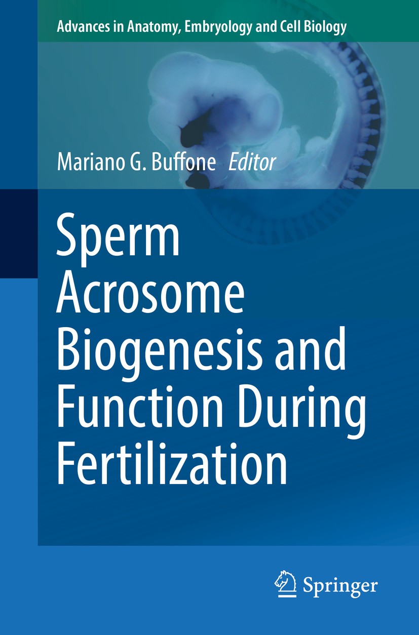 Titlebook: Sperm Acrosome Biogenesis and Function During Fertilization; Mariano G. Buffone Book 2016 The Editor(s) (if applicable) and The Author(s), Titlebook: Sperm Acrosome Biogenesis and Function During Fertilization; Mariano G. Buffone Book 2016 The Editor(s) (if applicable) and The Author(s),