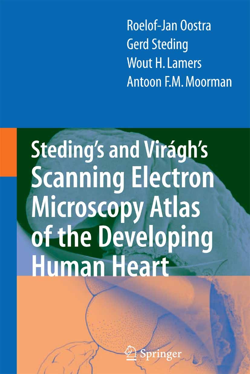 Titlebook: Steding‘s and Virágh‘s Scanning Electron Microscopy Atlas of the Developing Human Heart; Roelof-Jan Oostra,Gerd Steding,Antoon F. M. Moorm Titlebook: Steding‘s and Virágh‘s Scanning Electron Microscopy Atlas of the Developing Human Heart; Roelof-Jan Oostra,Gerd Steding,Antoon F. M. Moorm