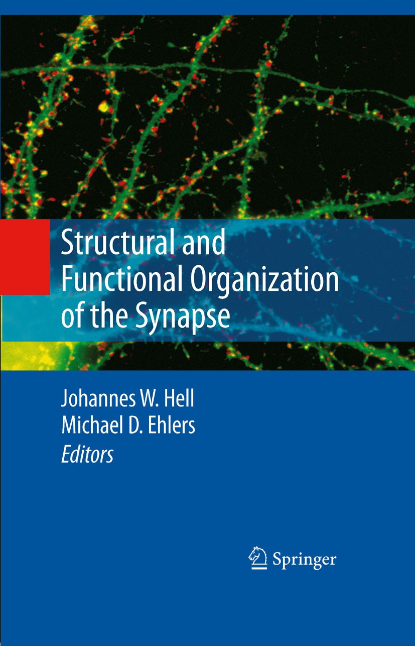 Titlebook: Structural and Functional Organization of the Synapse; Johannes W. Hell,Michael D. Ehlers Book 2008 Springer-Verlag US 2008 Alzheimer.bioc Titlebook: Structural and Functional Organization of the Synapse; Johannes W. Hell,Michael D. Ehlers Book 2008 Springer-Verlag US 2008 Alzheimer.bioc