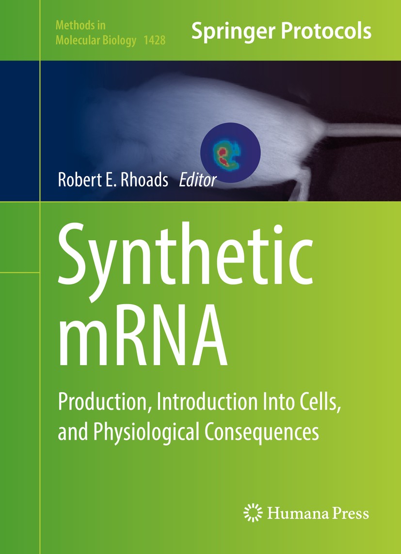 Titlebook: Synthetic mRNA; Production, Introduc Robert E. Rhoads Book 2016 Springer Science+Business Media, LLC, part of Springer Nature 2016 gene the Titlebook: Synthetic mRNA; Production, Introduc Robert E. Rhoads Book 2016 Springer Science+Business Media, LLC, part of Springer Nature 2016 gene the