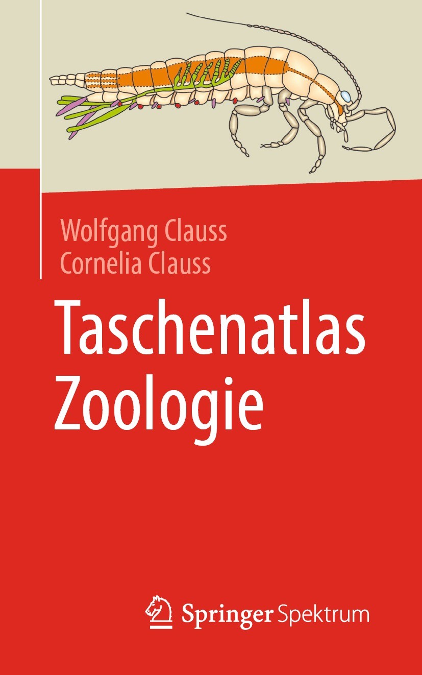 Titlebook: Taschenatlas Zoologie; Wolfgang Clauss,Cornelia Clauss Textbook 2021 Springer-Verlag GmbH Deutschland, ein Teil von Springer Nature 2021 A Titlebook: Taschenatlas Zoologie; Wolfgang Clauss,Cornelia Clauss Textbook 2021 Springer-Verlag GmbH Deutschland, ein Teil von Springer Nature 2021 A