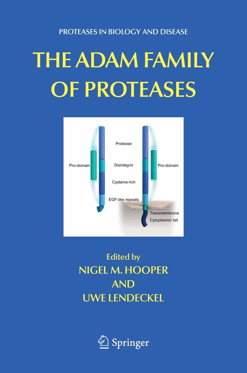 Titlebook: The ADAM Family of Proteases; Nigel M. Hooper,Uwe Lendeckel Book 2005 Springer-Verlag US 2005 biology.genome.protein.proteins.sequencing Titlebook: The ADAM Family of Proteases; Nigel M. Hooper,Uwe Lendeckel Book 2005 Springer-Verlag US 2005 biology.genome.protein.proteins.sequencing