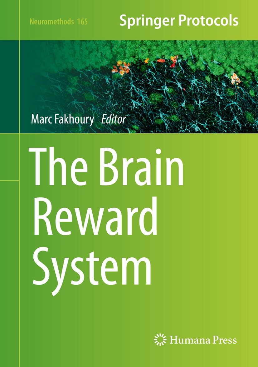 Titlebook: The Brain Reward System; Marc Fakhoury Book 2021 Springer Science+Business Media, LLC, part of Springer Nature 2021 Intracranial self-stim Titlebook: The Brain Reward System; Marc Fakhoury Book 2021 Springer Science+Business Media, LLC, part of Springer Nature 2021 Intracranial self-stim