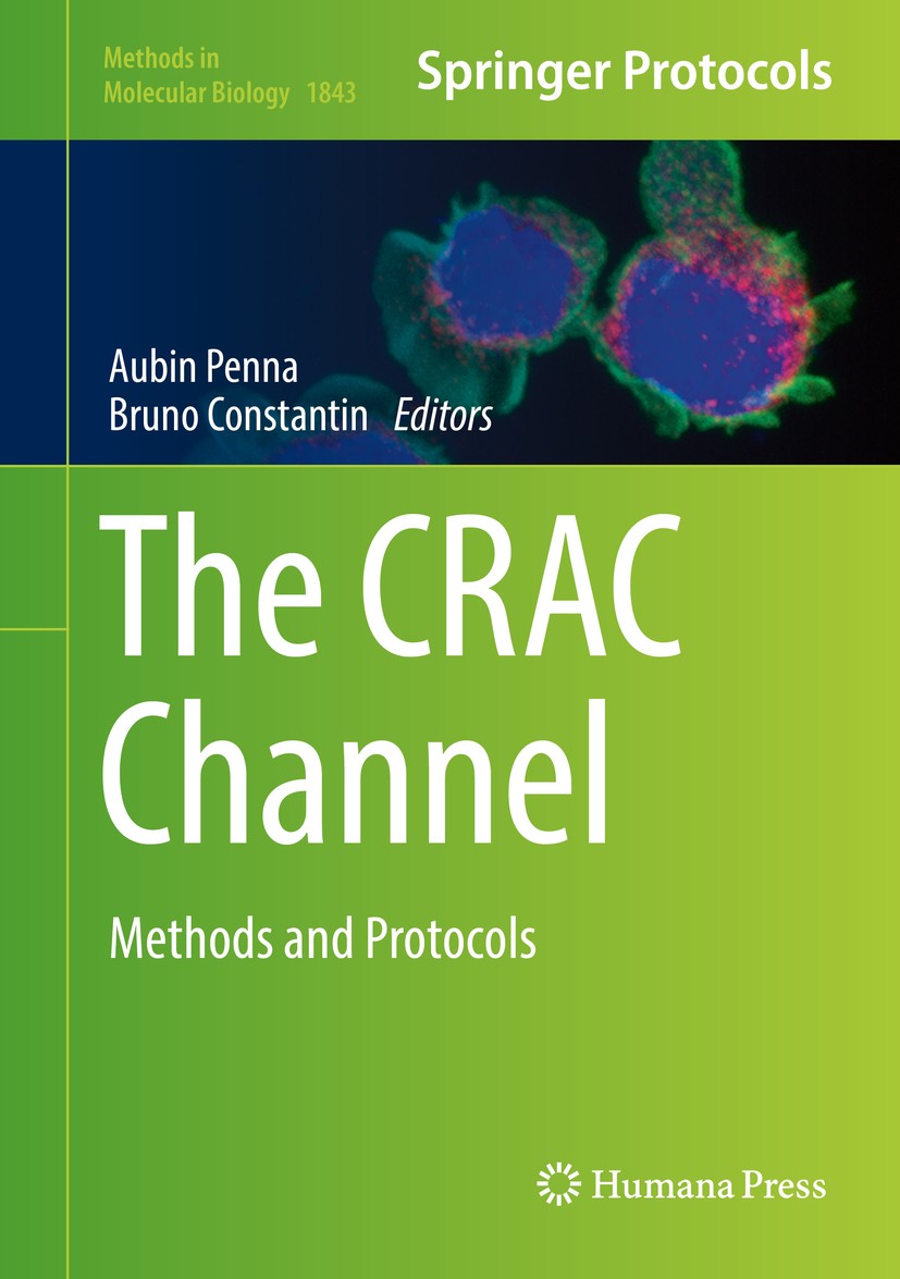 Titlebook: The CRAC Channel; Methods and Protocol Aubin Penna,Bruno Constantin Book 2018 Springer Science+Business Media, LLC, part of Springer Nature Titlebook: The CRAC Channel; Methods and Protocol Aubin Penna,Bruno Constantin Book 2018 Springer Science+Business Media, LLC, part of Springer Nature