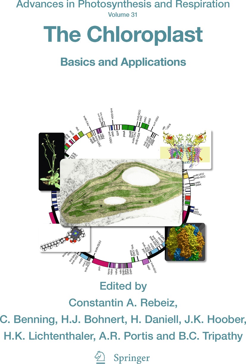 Titlebook: The Chloroplast; Basics and Applicati Constantin A. Rebeiz,Christoph Benning,Baishnab C. Book 2010 Springer Science+Business Media B.V. 201 Titlebook: The Chloroplast; Basics and Applicati Constantin A. Rebeiz,Christoph Benning,Baishnab C. Book 2010 Springer Science+Business Media B.V. 201