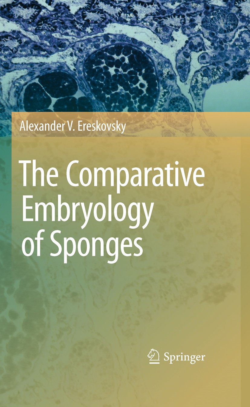 Titlebook: The Comparative Embryology of Sponges; Alexander V. Ereskovsky Book 2010 Springer Science+Business Media B.V. 2010 Developmental Biology.E Titlebook: The Comparative Embryology of Sponges; Alexander V. Ereskovsky Book 2010 Springer Science+Business Media B.V. 2010 Developmental Biology.E
