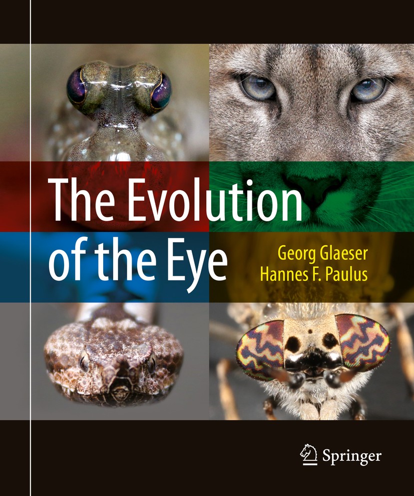 Titlebook: The Evolution of the Eye; Georg Glaeser,Hannes F. Paulus Book 2015 Springer International Publishing Switzerland 2015 Animal evolution.Ani Titlebook: The Evolution of the Eye; Georg Glaeser,Hannes F. Paulus Book 2015 Springer International Publishing Switzerland 2015 Animal evolution.Ani