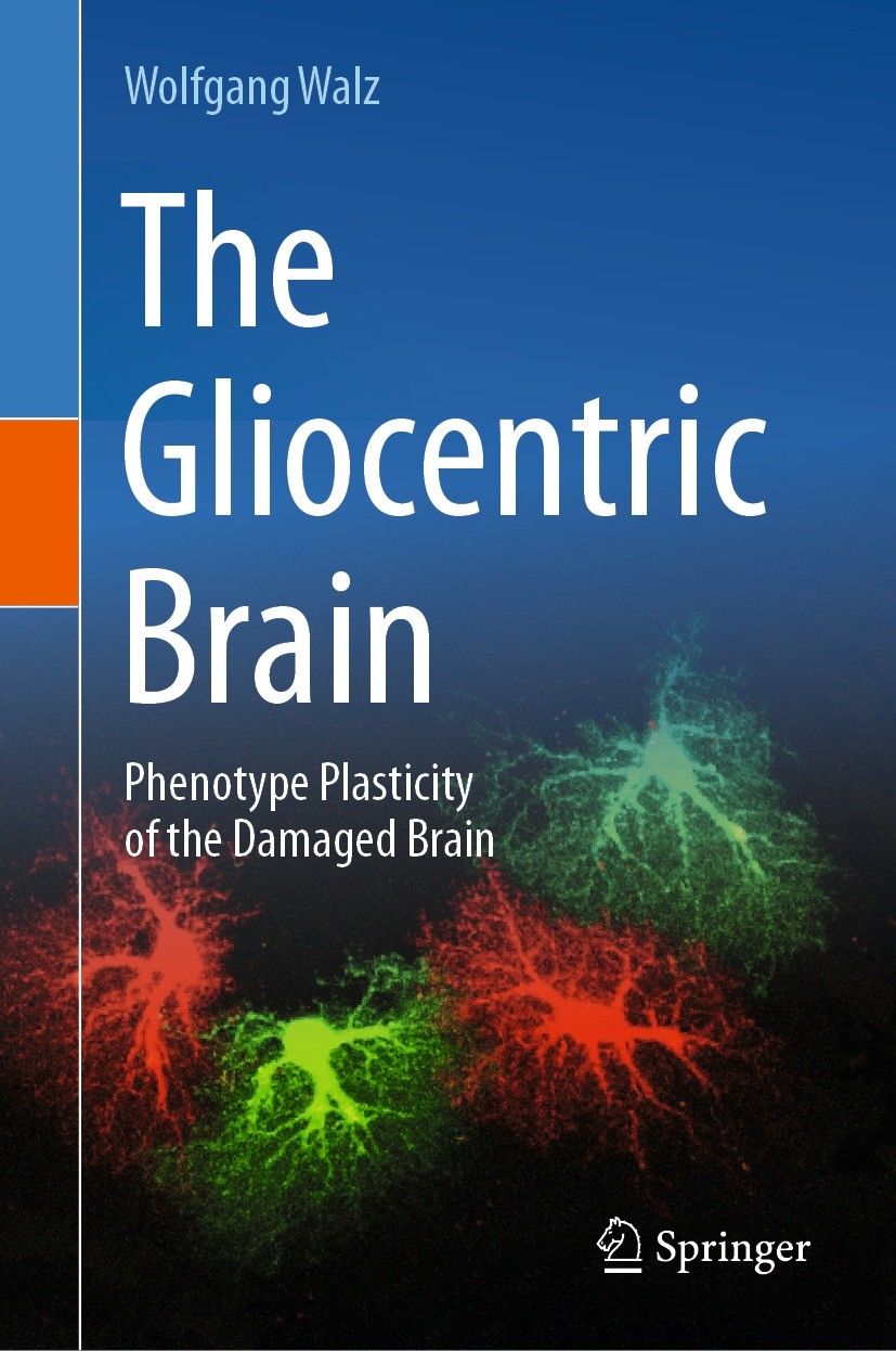 Titlebook: The Gliocentric Brain; Phenotype Plasticity Wolfgang Walz Book 2023 Springer Nature Switzerland AG 2023 gliosis.astrocytes.microglia.blood Titlebook: The Gliocentric Brain; Phenotype Plasticity Wolfgang Walz Book 2023 Springer Nature Switzerland AG 2023 gliosis.astrocytes.microglia.blood