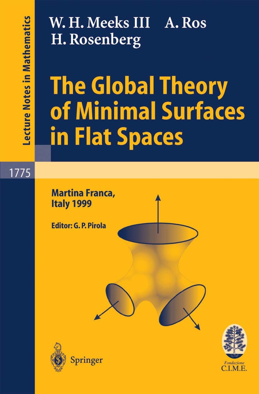 Titlebook: The Global Theory of Minimal Surfaces in Flat Spaces; Lectures given at th William H. Meeks III,Antonio Ros,Harold Rosenberg Book 2002 Spri Titlebook: The Global Theory of Minimal Surfaces in Flat Spaces; Lectures given at th William H. Meeks III,Antonio Ros,Harold Rosenberg Book 2002 Spri