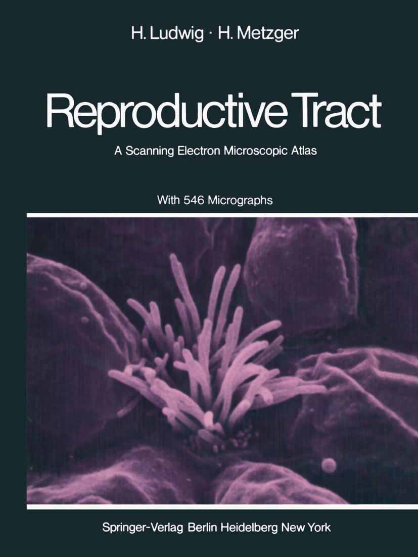 Titlebook: The Human Female Reproductive Tract; A Scanning Electron Hans Ludwig,Hildegard Metzger Book 1976 Springer-Verlag Berlin Heidelberg 1976 El Titlebook: The Human Female Reproductive Tract; A Scanning Electron Hans Ludwig,Hildegard Metzger Book 1976 Springer-Verlag Berlin Heidelberg 1976 El