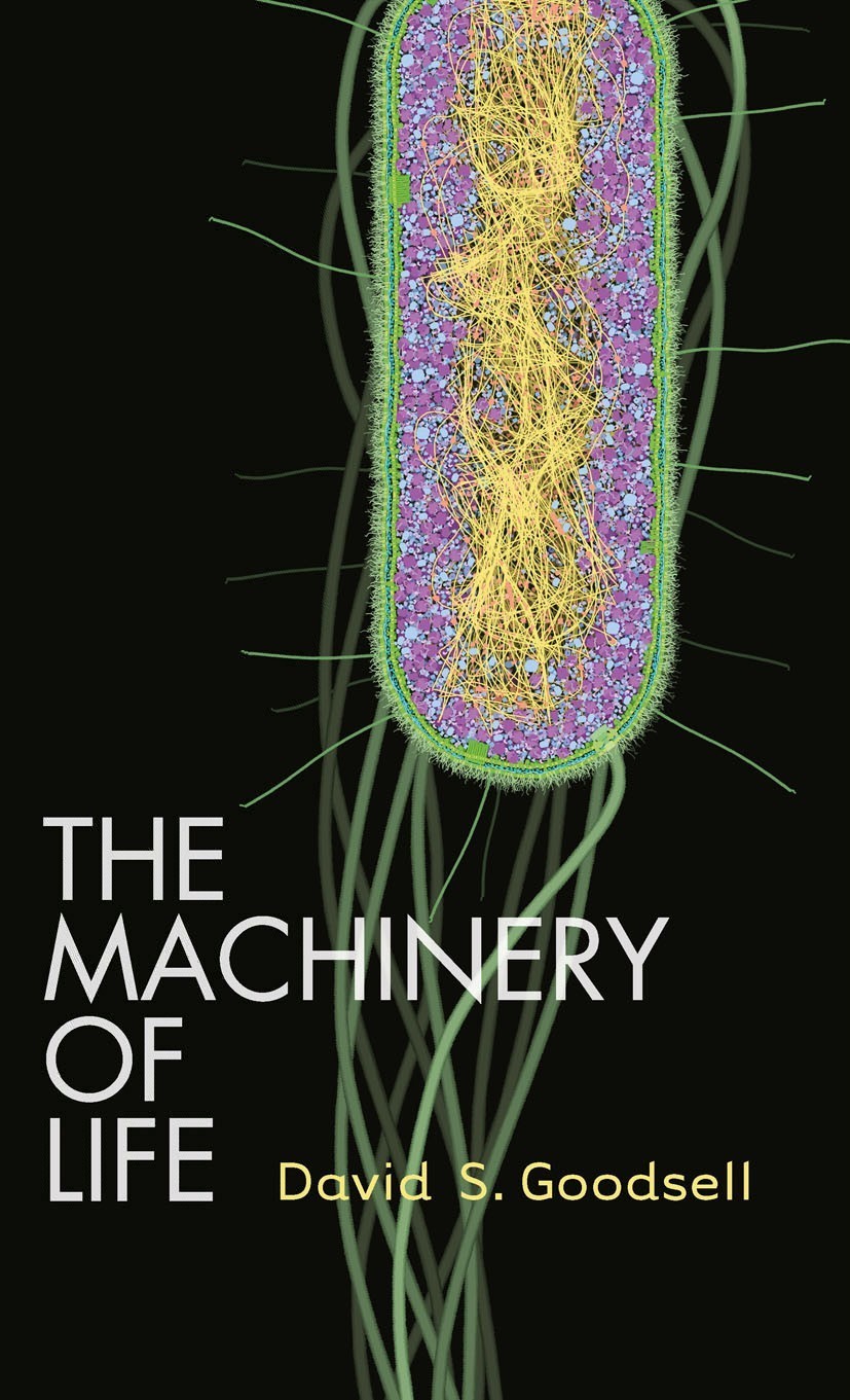 Titlebook: The Machinery of Life; David S. Goodsell Book 2009Latest edition Springer-Verlag New York 2009 Escherichia coli.Polysaccharid.Virus.Viruse Titlebook: The Machinery of Life; David S. Goodsell Book 2009Latest edition Springer-Verlag New York 2009 Escherichia coli.Polysaccharid.Virus.Viruse