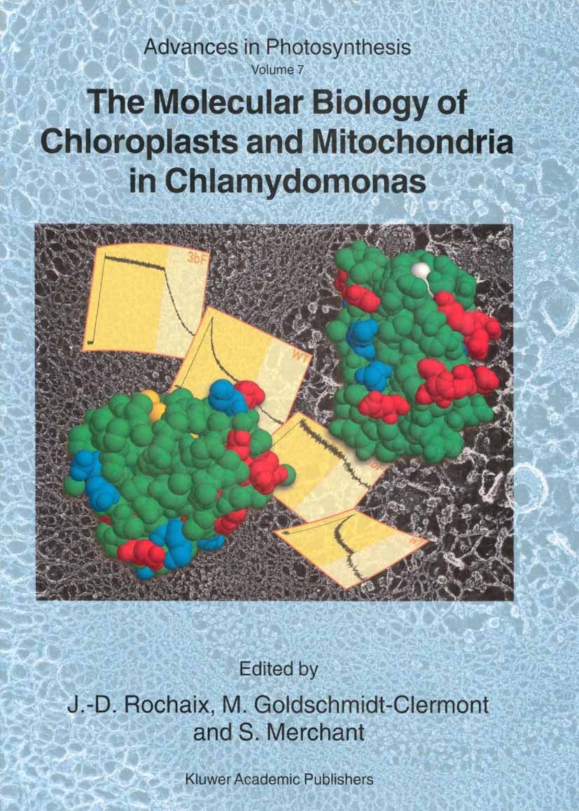 Titlebook: The Molecular Biology of Chloroplasts and Mitochondria in Chlamydomonas; J. -D. Rochaix,M. Goldschmidt-Clermont,S. Merchant Book 1998 Spri Titlebook: The Molecular Biology of Chloroplasts and Mitochondria in Chlamydomonas; J. -D. Rochaix,M. Goldschmidt-Clermont,S. Merchant Book 1998 Spri