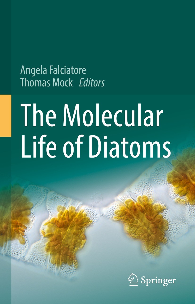 Titlebook: The Molecular Life of Diatoms; Angela Falciatore,Thomas Mock Book 2022 Springer Nature Switzerland AG 2022 Diatoms.diatom molecular biolog Titlebook: The Molecular Life of Diatoms; Angela Falciatore,Thomas Mock Book 2022 Springer Nature Switzerland AG 2022 Diatoms.diatom molecular biolog