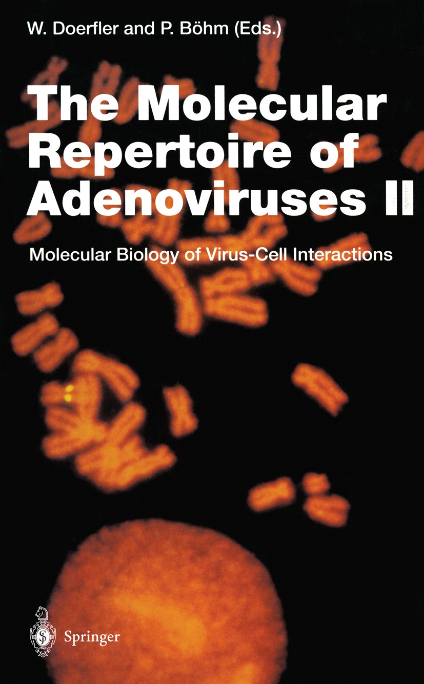Titlebook: The Molecular Repertoire of Adenoviruses II; Molecular Biology of Walter Doerfler,Petra Böhm Book 1995 The Editor(s) (if applicable) and Th Titlebook: The Molecular Repertoire of Adenoviruses II; Molecular Biology of Walter Doerfler,Petra Böhm Book 1995 The Editor(s) (if applicable) and Th