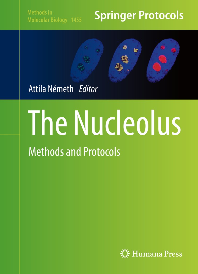 Titlebook: The Nucleolus; Methods and Protocol Attila Németh Book 2016 Springer Science+Business Media New York 2016 ribosomal RNA.nucleolus.Genomics Titlebook: The Nucleolus; Methods and Protocol Attila Németh Book 2016 Springer Science+Business Media New York 2016 ribosomal RNA.nucleolus.Genomics