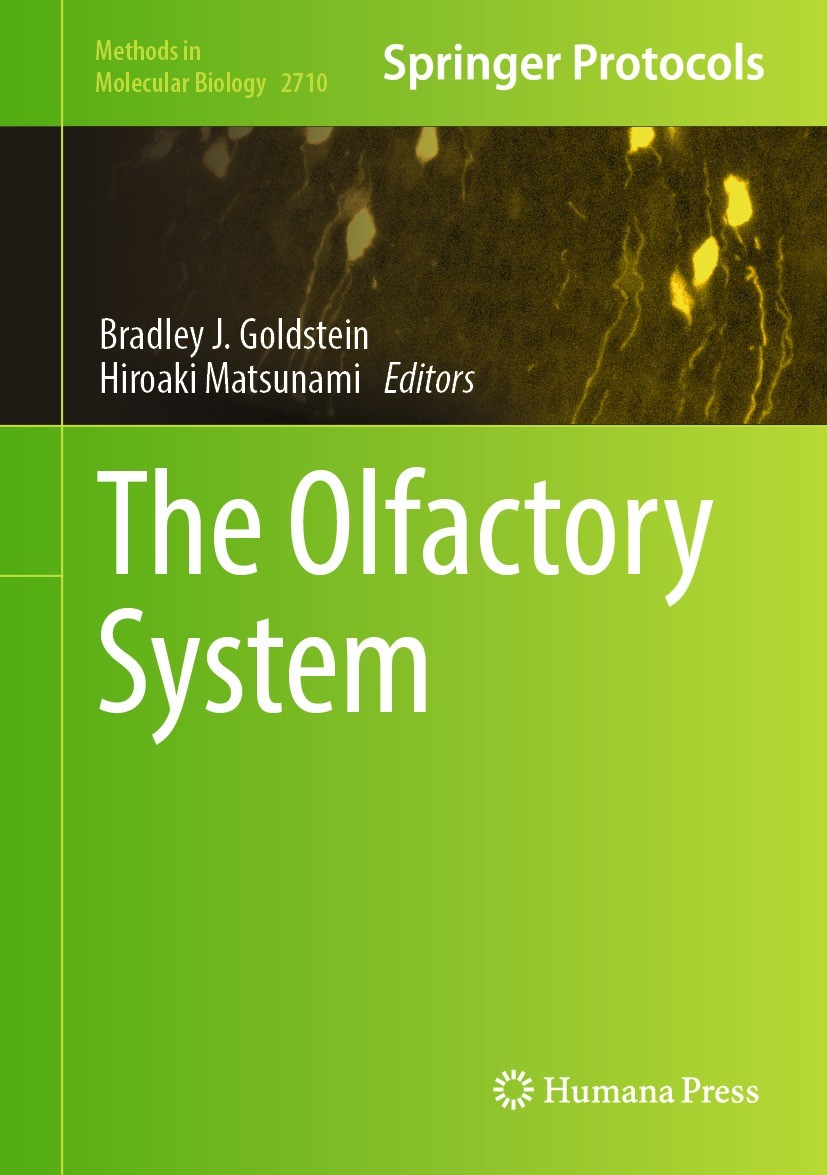 Titlebook: The Olfactory System; Bradley J. Goldstein,Hiroaki Matsunami Book 2023 The Editor(s) (if applicable) and The Author(s), under exclusive li Titlebook: The Olfactory System; Bradley J. Goldstein,Hiroaki Matsunami Book 2023 The Editor(s) (if applicable) and The Author(s), under exclusive li