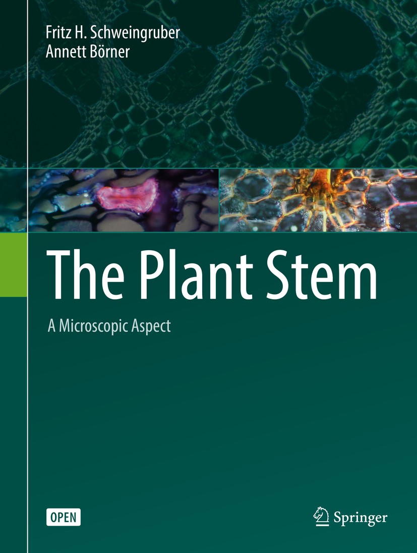 Titlebook: The Plant Stem; A Microscopic Aspect Fritz H. Schweingruber,Annett Börner Textbook‘‘‘‘‘‘‘‘ 2018 The Editor(s) (if applicable) and The Autho Titlebook: The Plant Stem; A Microscopic Aspect Fritz H. Schweingruber,Annett Börner Textbook‘‘‘‘‘‘‘‘ 2018 The Editor(s) (if applicable) and The Autho