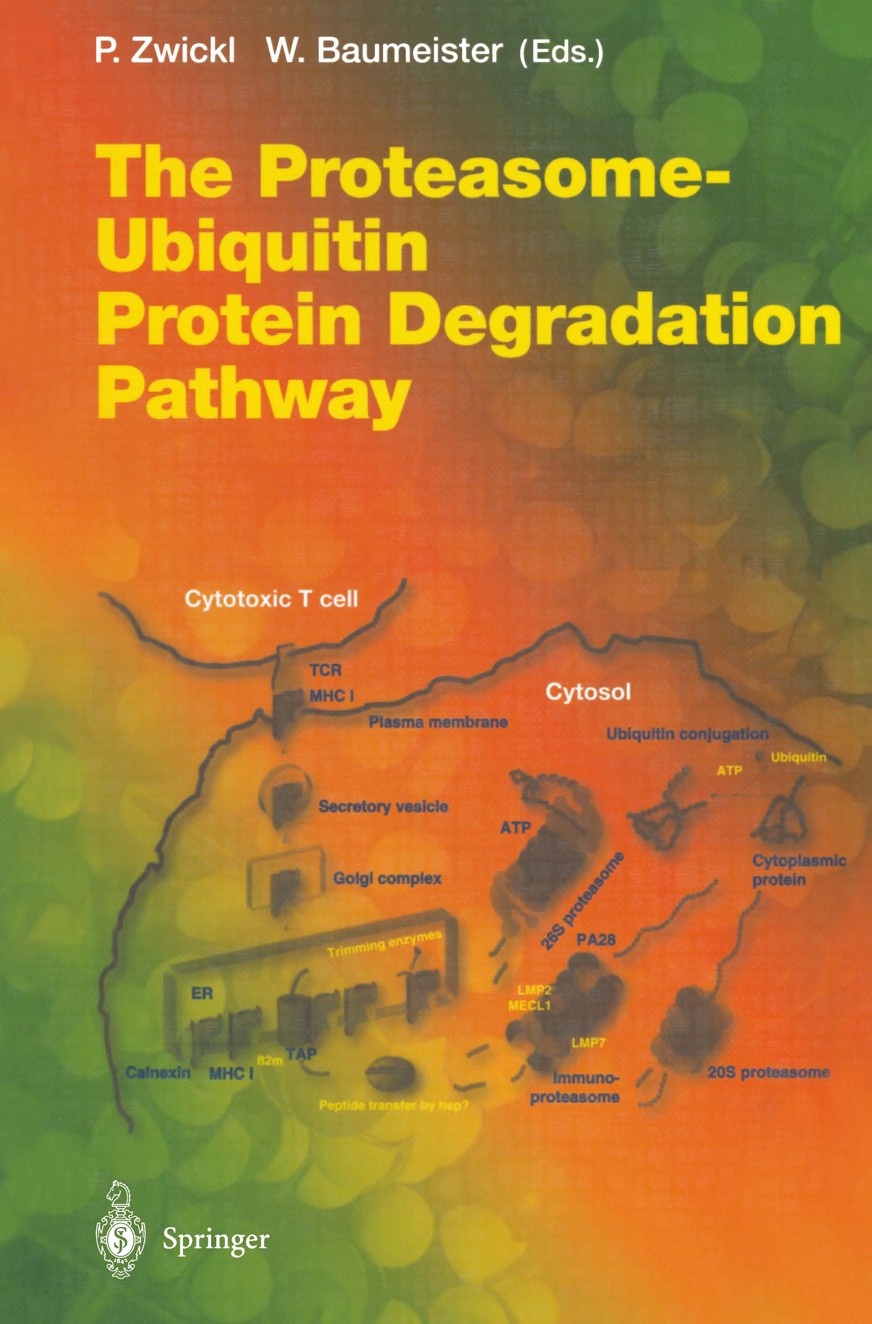 Titlebook: The Proteasome — Ubiquitin Protein Degradation Pathway; Peter Zwickl,Wolfgang Baumeister Book 2002 The Editor(s) (if applicable) and The A Titlebook: The Proteasome — Ubiquitin Protein Degradation Pathway; Peter Zwickl,Wolfgang Baumeister Book 2002 The Editor(s) (if applicable) and The A