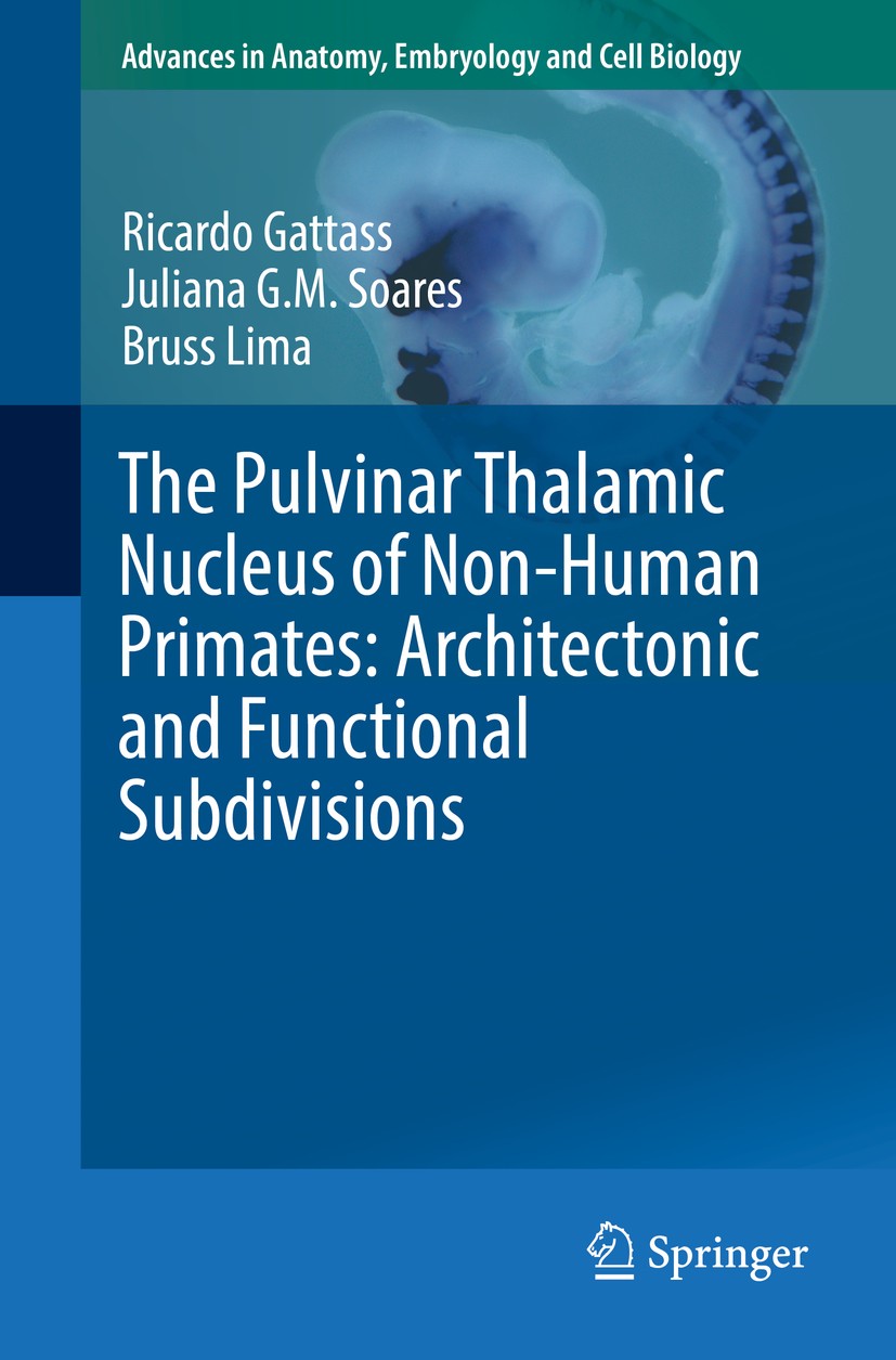 Titlebook: The Pulvinar Thalamic Nucleus of Non-Human Primates: Architectonic and Functional Subdivisions; Ricardo Gattass,Juliana G.M. Soares,Bruss Titlebook: The Pulvinar Thalamic Nucleus of Non-Human Primates: Architectonic and Functional Subdivisions; Ricardo Gattass,Juliana G.M. Soares,Bruss