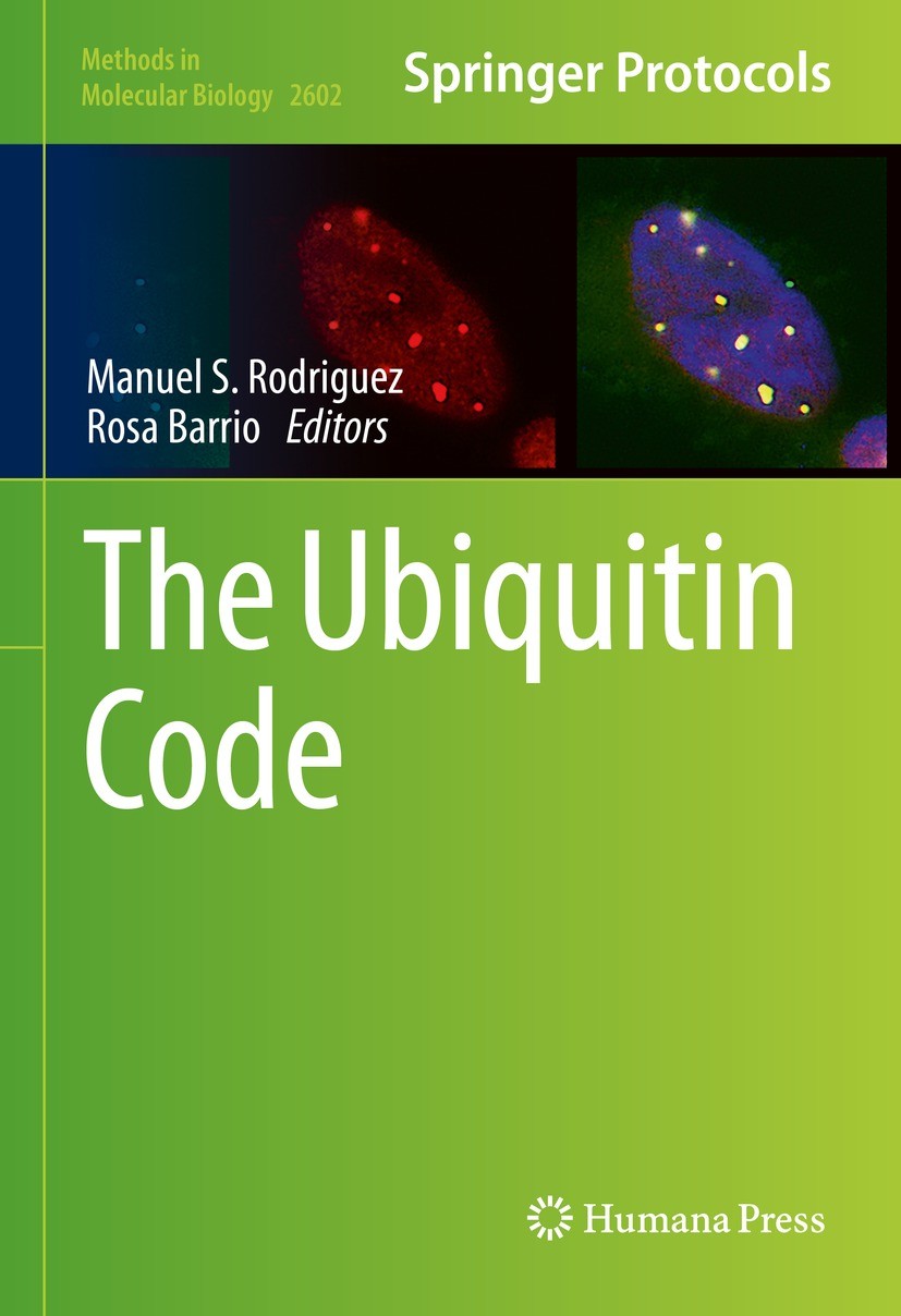 Titlebook: The Ubiquitin Code; Manuel S Rodriguez,Rosa Barrio Book 2023 The Editor(s) (if applicable) and The Author(s), under exclusive license to S Titlebook: The Ubiquitin Code; Manuel S Rodriguez,Rosa Barrio Book 2023 The Editor(s) (if applicable) and The Author(s), under exclusive license to S