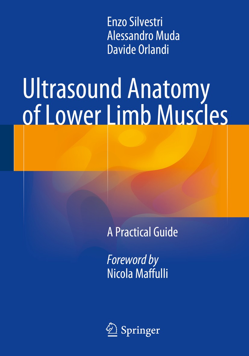 Titlebook: Ultrasound Anatomy of Lower Limb Muscles; A Practical Guide Enzo Silvestri,Alessandro Muda,Davide Orlandi Book 2015 Springer International Titlebook: Ultrasound Anatomy of Lower Limb Muscles; A Practical Guide Enzo Silvestri,Alessandro Muda,Davide Orlandi Book 2015 Springer International