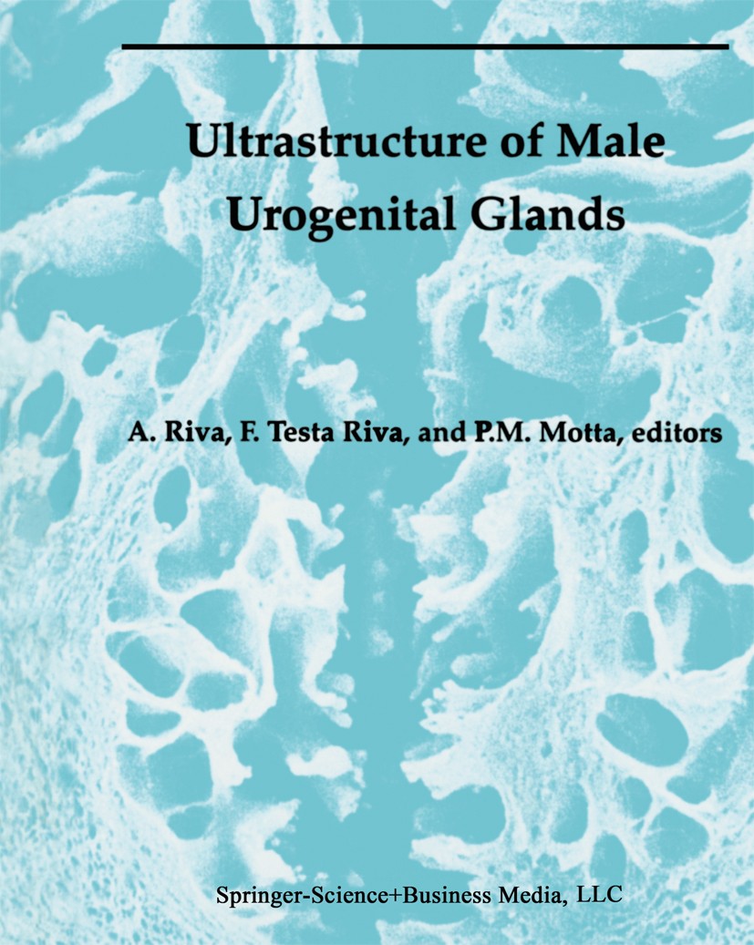Titlebook: Ultrastructure of the Male Urogenital Glands; Prostate, Seminal Ve Alessandro Riva,Francesca Testa Riva,Pietro Motta Book 1994 Springer Sci Titlebook: Ultrastructure of the Male Urogenital Glands; Prostate, Seminal Ve Alessandro Riva,Francesca Testa Riva,Pietro Motta Book 1994 Springer Sci