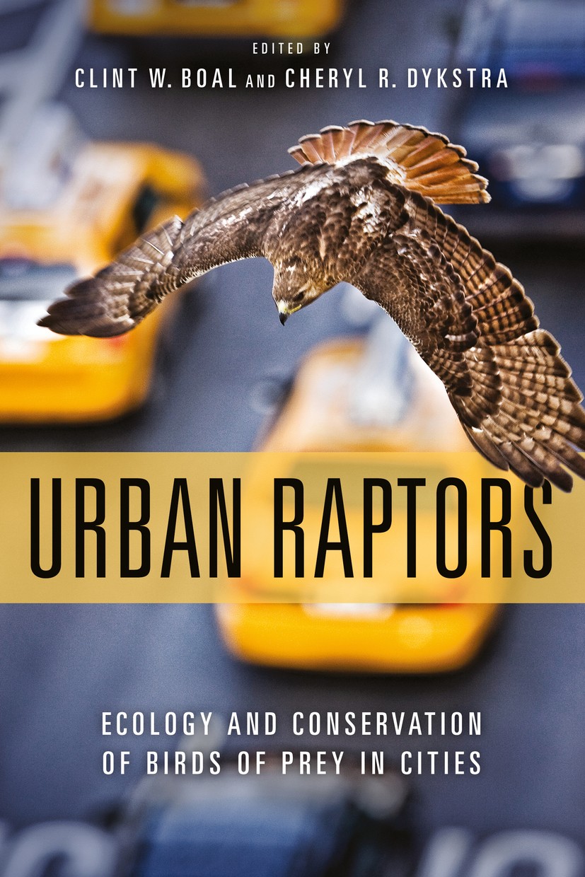 Titlebook: Urban Raptors; Ecology and Conserva Clint W. Boal,Cheryl R. Dykstra Book 2018Latest edition Cheryl R. Dykstra 2018 urban ecosystems.raptors Titlebook: Urban Raptors; Ecology and Conserva Clint W. Boal,Cheryl R. Dykstra Book 2018Latest edition Cheryl R. Dykstra 2018 urban ecosystems.raptors