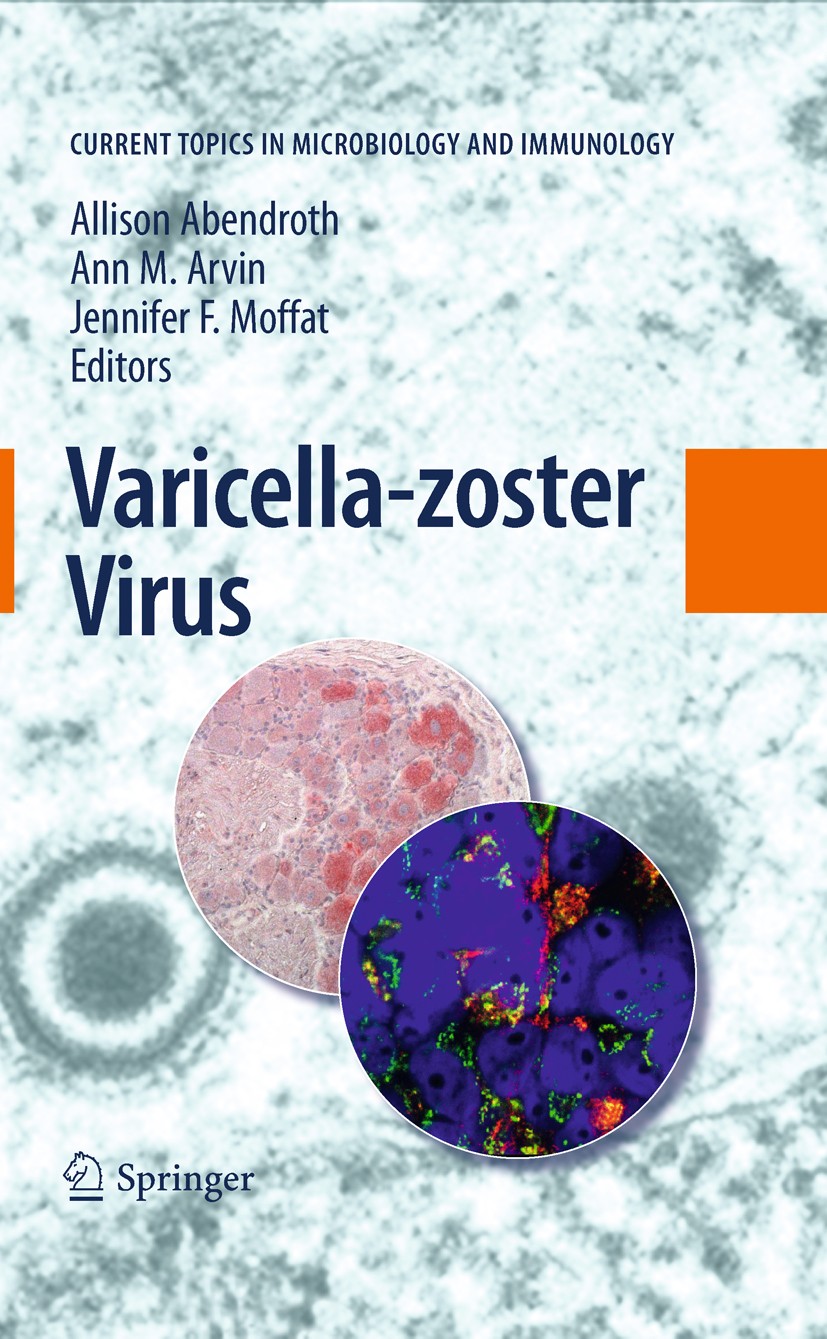 Titlebook: Varicella-zoster Virus; Allison Abendroth,Ann M. Arvin,Jennifer F. Moffat Book 2010 The Editor(s) (if applicable) and The Author(s), under Titlebook: Varicella-zoster Virus; Allison Abendroth,Ann M. Arvin,Jennifer F. Moffat Book 2010 The Editor(s) (if applicable) and The Author(s), under