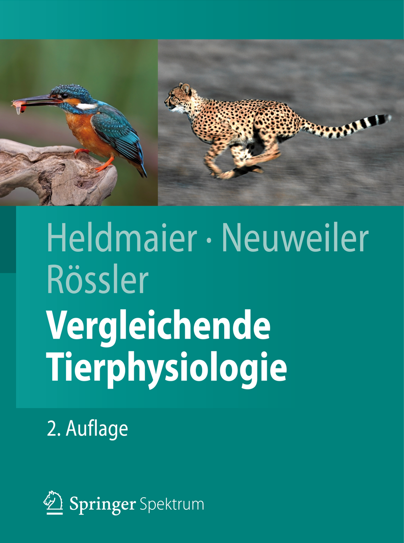 Titlebook: Vergleichende Tierphysiologie; Gerhard Heldmaier,Gerhard Neuweiler,Wolfgang Rössl Textbook 2013Latest edition Springer-Verlag Berlin Heide Titlebook: Vergleichende Tierphysiologie; Gerhard Heldmaier,Gerhard Neuweiler,Wolfgang Rössl Textbook 2013Latest edition Springer-Verlag Berlin Heide