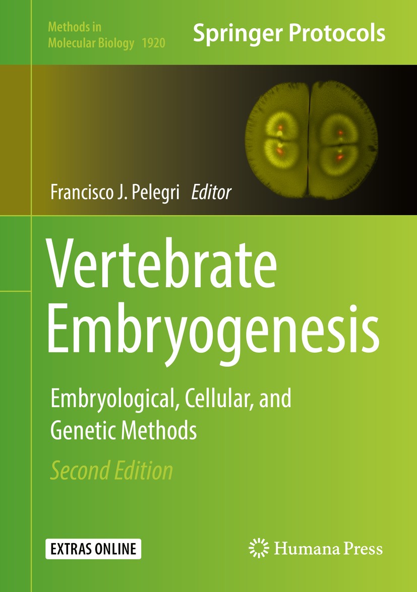 Titlebook: Vertebrate Embryogenesis; Embryological, Cellu Francisco J. Pelegri Book 2019Latest edition Springer Science+Business Media, LLC, part of S Titlebook: Vertebrate Embryogenesis; Embryological, Cellu Francisco J. Pelegri Book 2019Latest edition Springer Science+Business Media, LLC, part of S