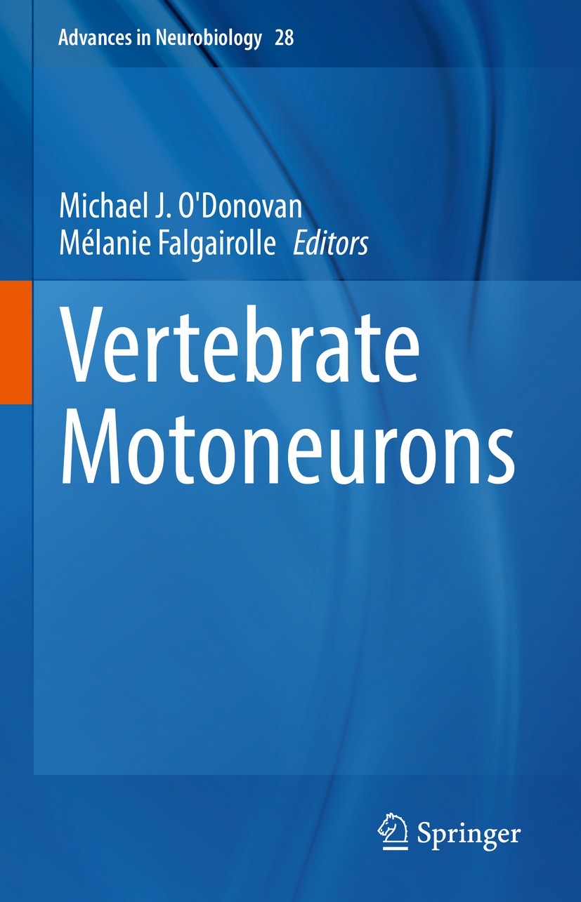 Titlebook: Vertebrate Motoneurons; Michael J. O‘Donovan,Mélanie Falgairolle Book 2022 Springer Nature Switzerland AG 2022 Motoneurons.Central pattern Titlebook: Vertebrate Motoneurons; Michael J. O‘Donovan,Mélanie Falgairolle Book 2022 Springer Nature Switzerland AG 2022 Motoneurons.Central pattern