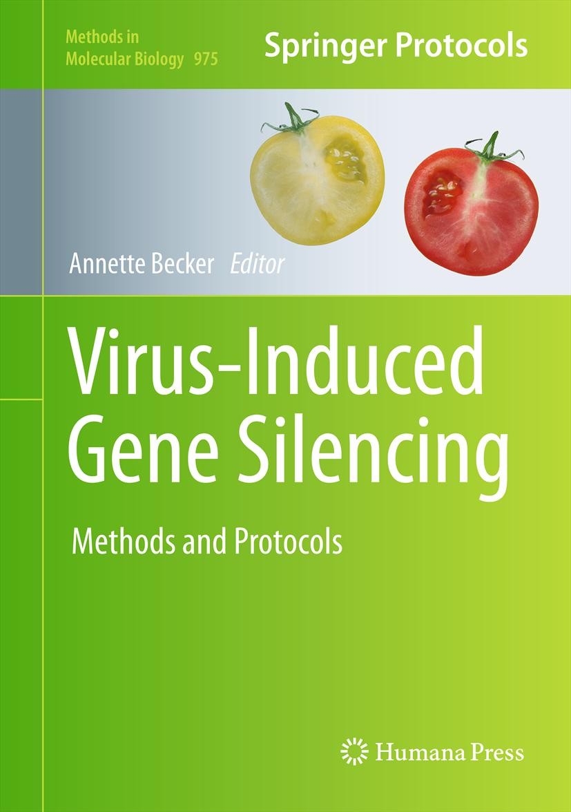 Titlebook: Virus-Induced Gene Silencing; Methods and Protocol Annette Becker Book 2013 Springer Science+Business Media New York 2013 VIGS.developmenta Titlebook: Virus-Induced Gene Silencing; Methods and Protocol Annette Becker Book 2013 Springer Science+Business Media New York 2013 VIGS.developmenta