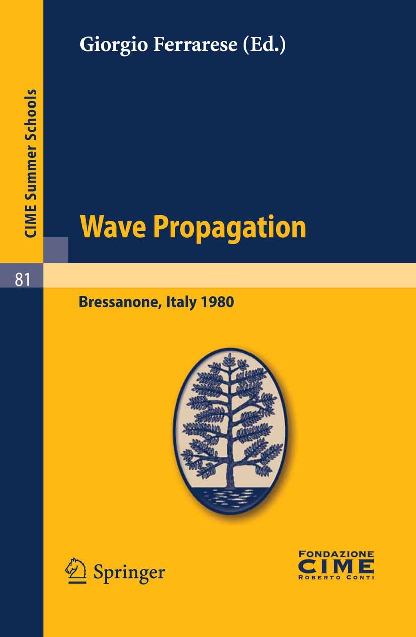 Titlebook: Wave Propagation; Lectures given at a Giorgio Ferrarese Book 2011 Springer-Verlag Berlin Heidelberg 2011 partial differential equations Titlebook: Wave Propagation; Lectures given at a Giorgio Ferrarese Book 2011 Springer-Verlag Berlin Heidelberg 2011 partial differential equations