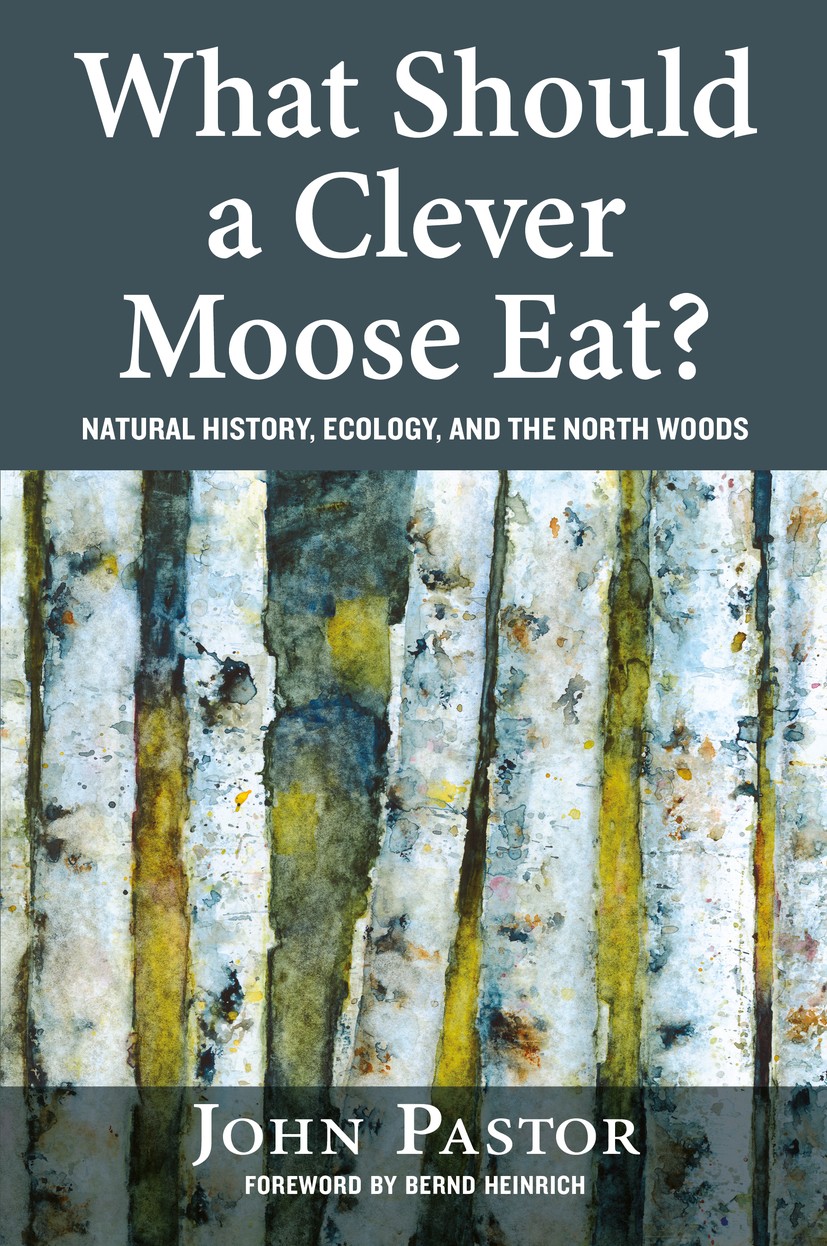 Titlebook: What Should a Clever Moose Eat?; Natural History, Eco John Pastor Book 2016Latest edition John Pastor 2016 Ecology.Environment.Woods.Nature Titlebook: What Should a Clever Moose Eat?; Natural History, Eco John Pastor Book 2016Latest edition John Pastor 2016 Ecology.Environment.Woods.Nature