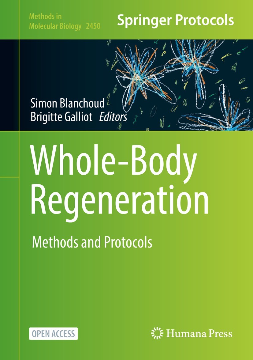 Titlebook: Whole-Body Regeneration; Methods and Protocol Simon Blanchoud,Brigitte Galliot Book‘‘‘‘‘‘‘‘ 2022 The Editor(s) (if applicable) and The Auth Titlebook: Whole-Body Regeneration; Methods and Protocol Simon Blanchoud,Brigitte Galliot Book‘‘‘‘‘‘‘‘ 2022 The Editor(s) (if applicable) and The Auth