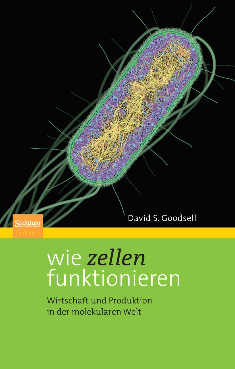 Titlebook: Wie Zellen funktionieren; Wirtschaft und Produ David S. Goodsell Book Feb 2010Latest edition Spektrum Akademischer Verlag 2010 Biochemie.Es Titlebook: Wie Zellen funktionieren; Wirtschaft und Produ David S. Goodsell Book Feb 2010Latest edition Spektrum Akademischer Verlag 2010 Biochemie.Es