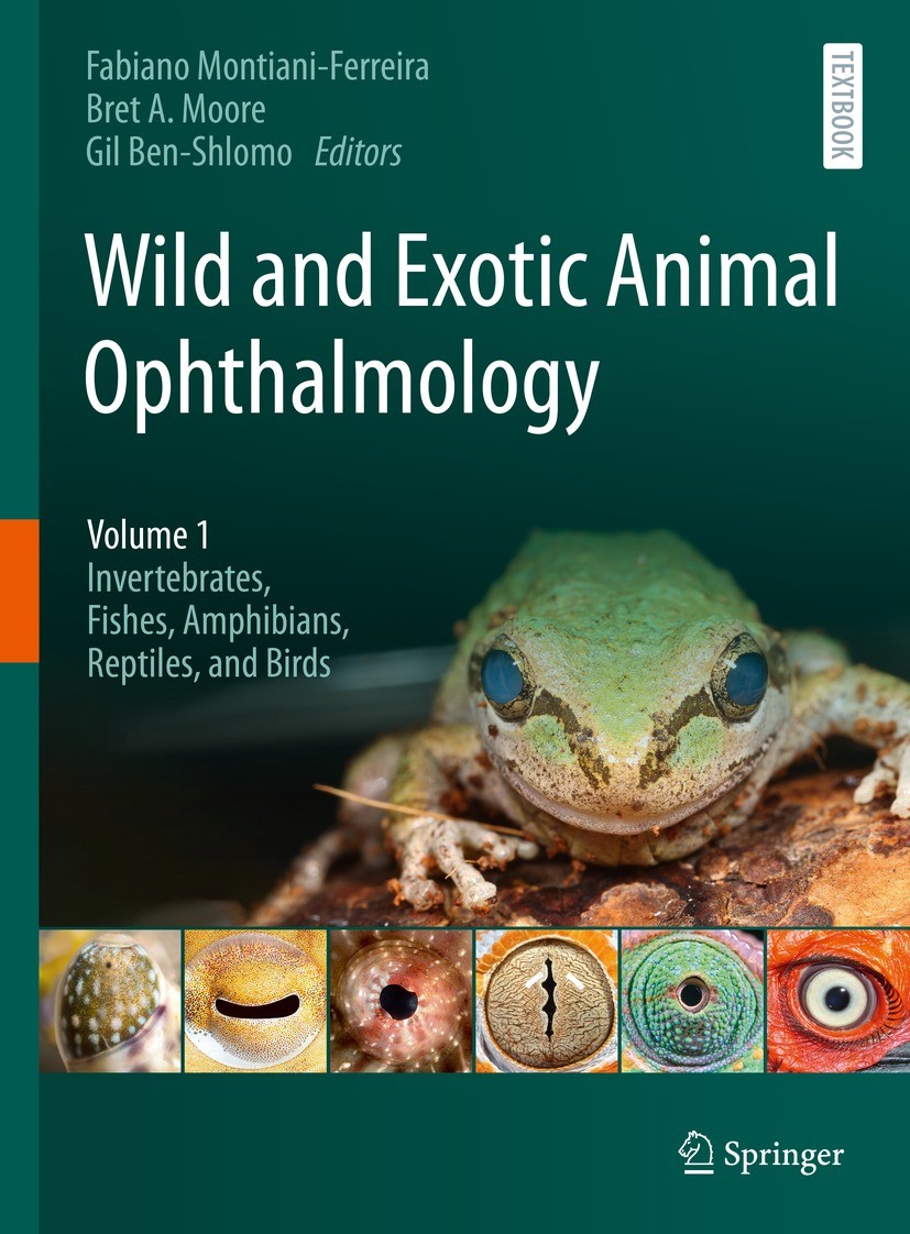 Titlebook: Wild and Exotic Animal Ophthalmology; Volume 1: Invertebra Fabiano Montiani-Ferreira,Bret A. Moore,Gil Ben-Sh Textbook 2022 Springer Nature Titlebook: Wild and Exotic Animal Ophthalmology; Volume 1: Invertebra Fabiano Montiani-Ferreira,Bret A. Moore,Gil Ben-Sh Textbook 2022 Springer Nature