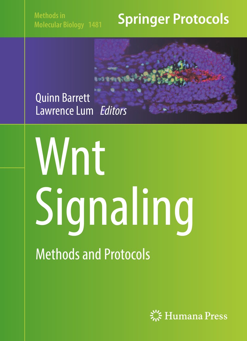 Titlebook: Wnt Signaling; Methods and Protocol Quinn Barrett,Lawrence Lum Book 2016 Springer Science+Business Media New York 2016 Regenerative medicin Titlebook: Wnt Signaling; Methods and Protocol Quinn Barrett,Lawrence Lum Book 2016 Springer Science+Business Media New York 2016 Regenerative medicin