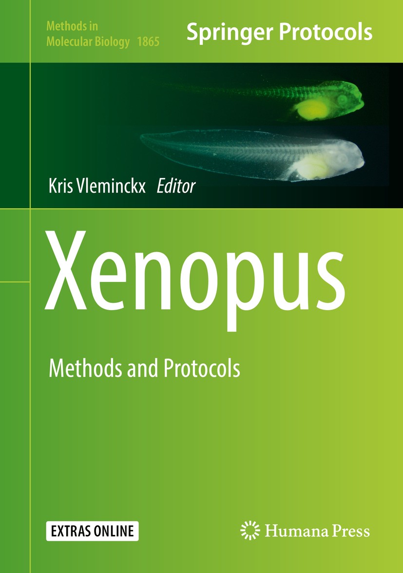 Titlebook: Xenopus; Methods and Protocol Kris Vleminckx Book 2018 Springer Science+Business Media, LLC, part of Springer Nature 2018 CRISPR.Cas9.X. tr Titlebook: Xenopus; Methods and Protocol Kris Vleminckx Book 2018 Springer Science+Business Media, LLC, part of Springer Nature 2018 CRISPR.Cas9.X. tr