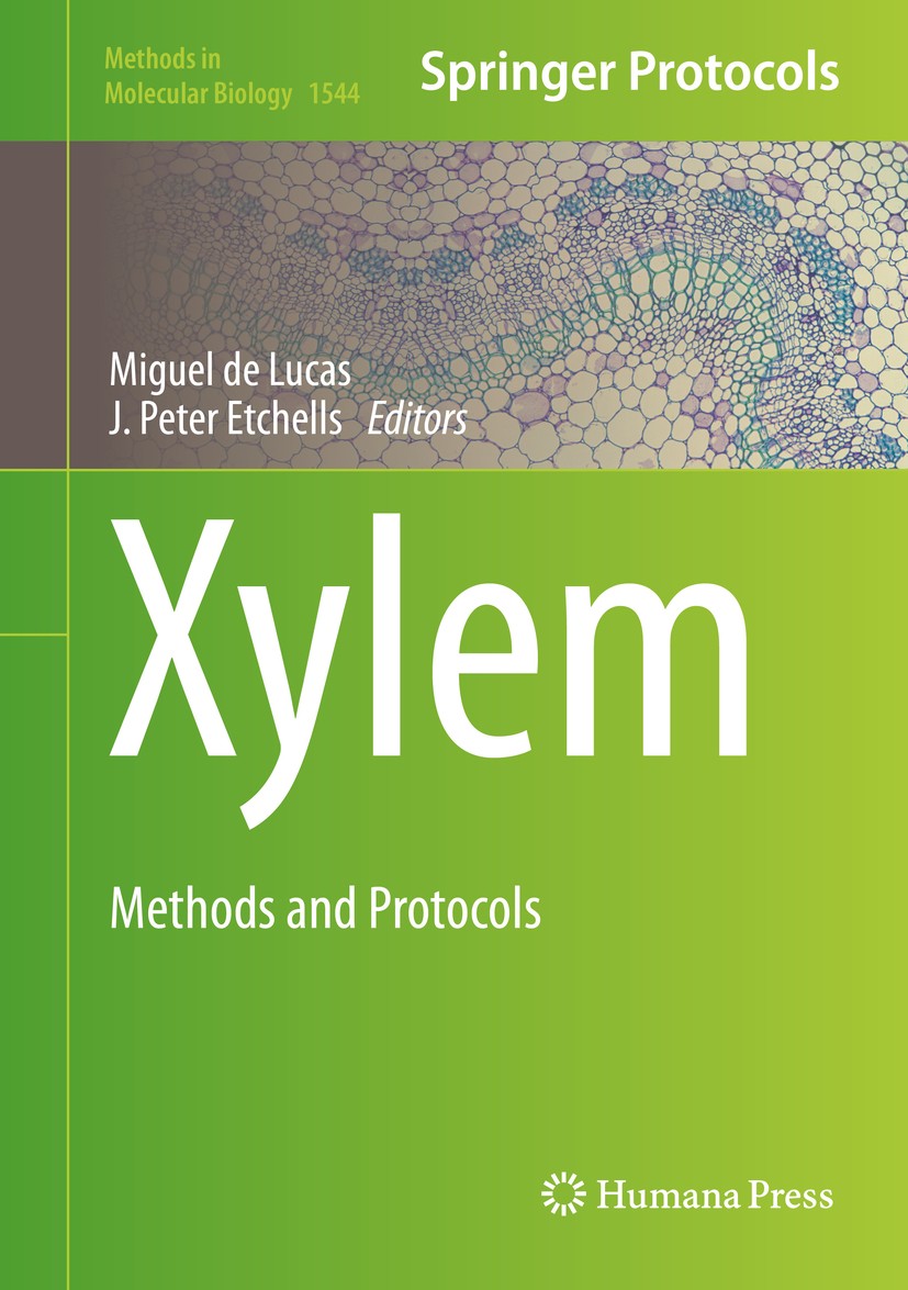 Titlebook: Xylem; Methods and Protocol Miguel‘de Lucas,J. Peter Etchhells Book 2017 Springer Science+Business Media LLC 2017 live imaging.computationa Titlebook: Xylem; Methods and Protocol Miguel‘de Lucas,J. Peter Etchhells Book 2017 Springer Science+Business Media LLC 2017 live imaging.computationa