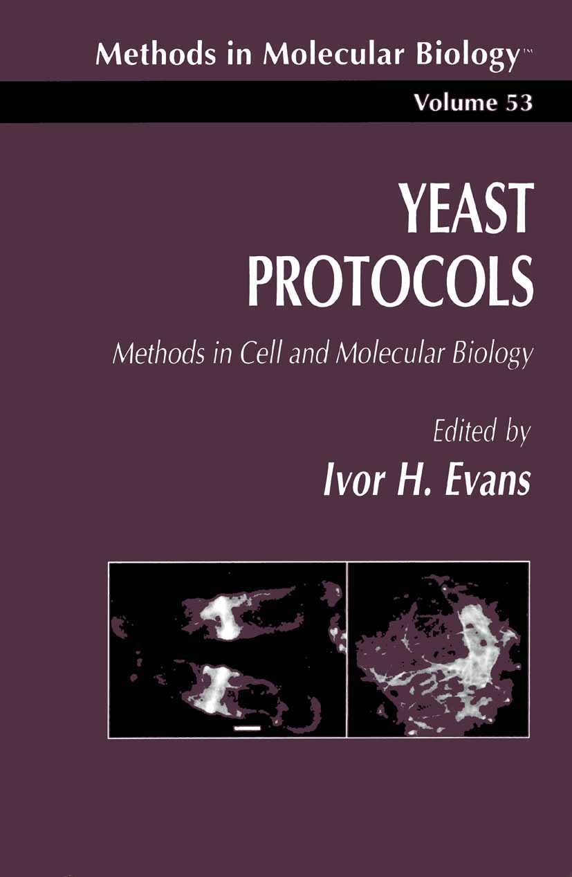 Titlebook: Yeast Protocols; Methods in Cell and Ivor H. Evans Book 19961st edition Humana Press 1996 Titlebook: Yeast Protocols; Methods in Cell and Ivor H. Evans Book 19961st edition Humana Press 1996