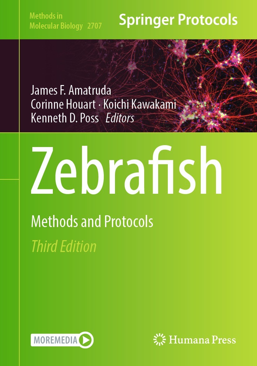 Titlebook: Zebrafish; Methods and Protocol James F. Amatruda,Corinne Houart,Kenneth D. Poss Book 2024Latest edition The Editor(s) (if applicable) and Titlebook: Zebrafish; Methods and Protocol James F. Amatruda,Corinne Houart,Kenneth D. Poss Book 2024Latest edition The Editor(s) (if applicable) and